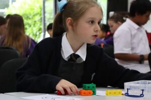 Primary Maths Challenge (8)