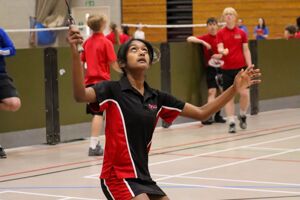 Badminton 25 14