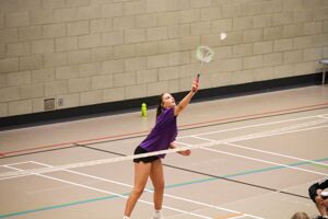 Badminton 25 16