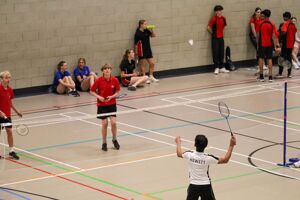 Badminton 25 18
