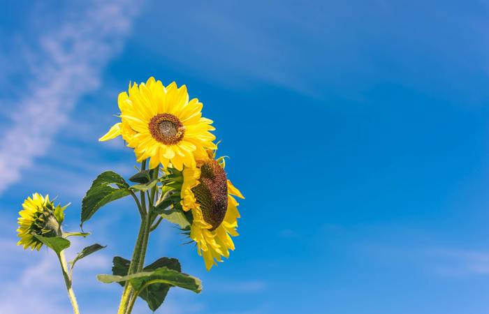 Blog Header Image