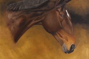 Emily Culley 800x600