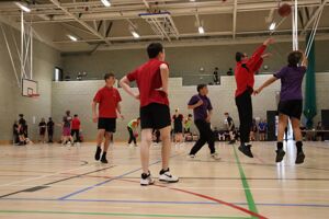 IMG 7191